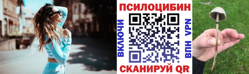 Псилоцибиновые грибы Magic Shrooms  мориарти какой сайт  Добрянка  купить наркоту 