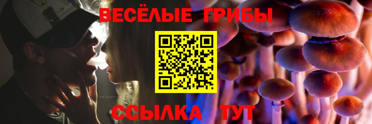 дарнет шоп  Псилоцибиновые грибы Magic Shrooms  Вход с VPN  Добрянка 
